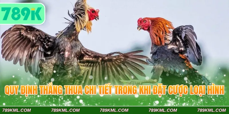 Đá Gà Cựa Sắt 789K - Trải Nghiệm Dễ Hơn Với Tin Luật Chi Tiết 3 Quy định thắng thua chi tiết trong khi đặt cược loại hình
