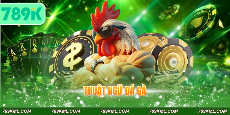 Thuật ngữ đá gà 789K Phổ Biến Dành Cho Tân Binh Đam Mê Chọi Kê 1 Thuật ngữ đá gà